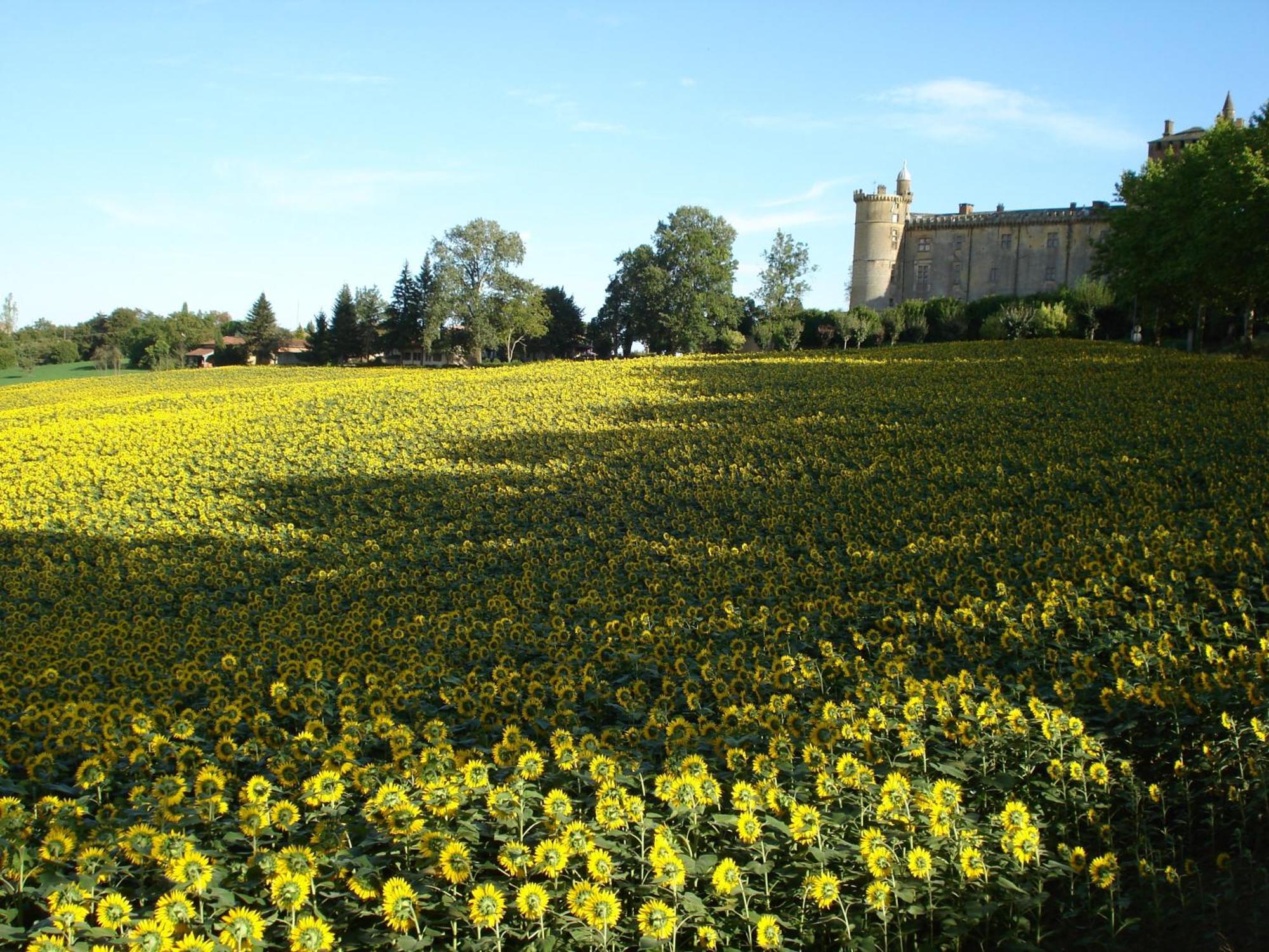 Hotel Relais Du Chateau Saint-Blancard Exterior foto